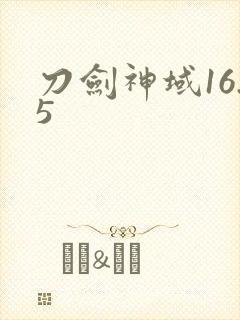 刀剑神域16.5封面