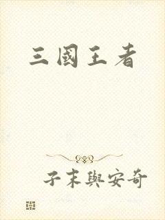 三国王者
