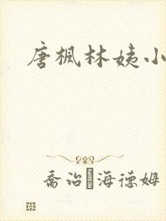 唐枫林姨小说封面