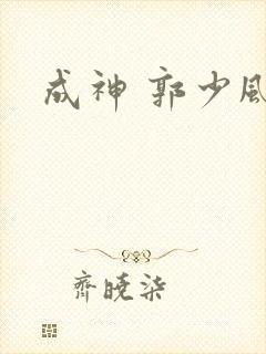 成神 郭少风封面