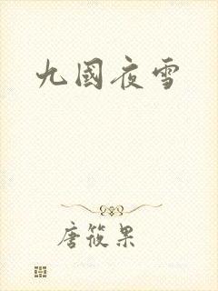 九国夜雪