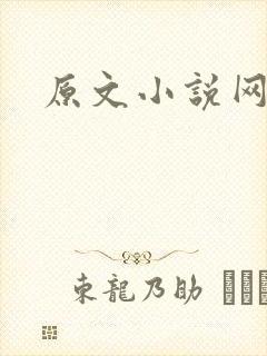 原文小说网封面