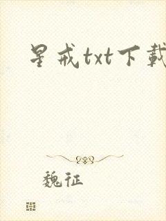 星戒txt下载封面