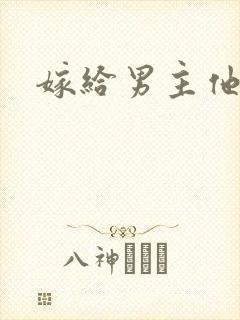 嫁给男主他爸爸封面