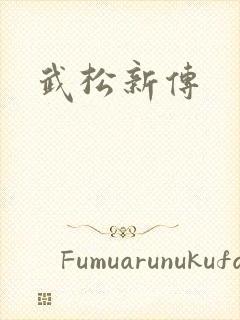 武松新传