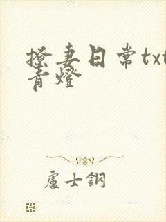 撩妻日常txt青灯