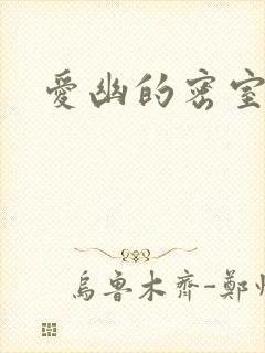 爱幽的密室小说