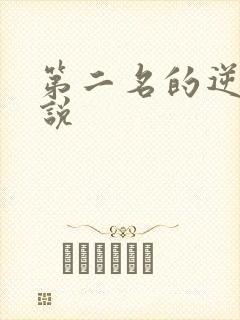 第二名的逆袭小说