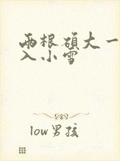 两根硕大一起挤入小雪