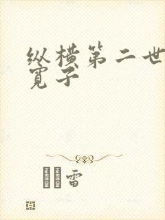 纵横第二世界 宽子
