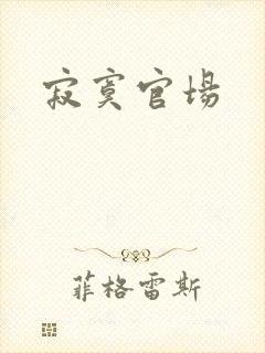 寂寞官场封面