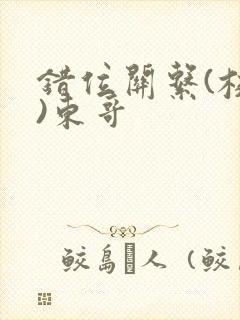 错位关系(校园)东哥