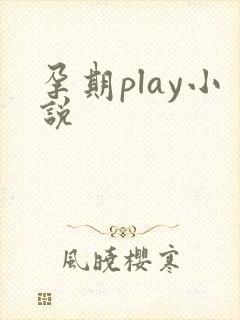 孕期play小说