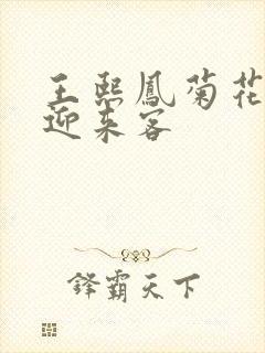 王熙凤菊花门初迎来客