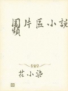 图片区小说区视频