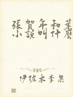 张贺年和叶繁姿小说叫什么名字