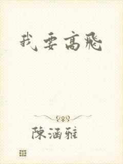 我要高飞封面