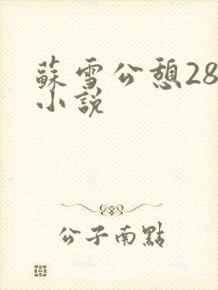 苏雪公憩28篇小说