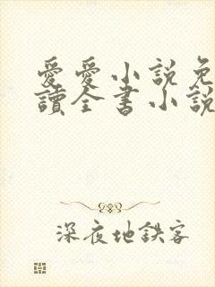 爱爱小说免费阅读全书小说乡村封面