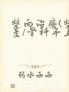 双向治疗(双/产/骨科年上)