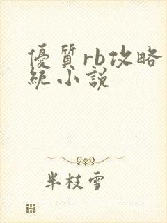 优质rb攻略系统小说
