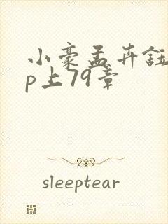 小豪孟卉钰慧三p上79章封面