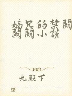 嫡兄的禁阙 华阙阙小说封面