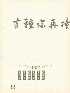 有种你再撞一下