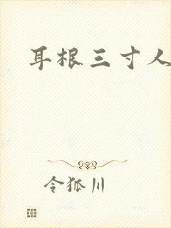 耳根三寸人间