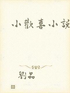 小欢喜小说封面