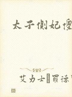 太子侧妃傻乎乎