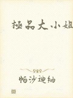 极品大小姐封面