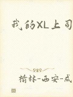 我的XL上司