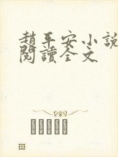 赵平安小说免费阅读全文封面