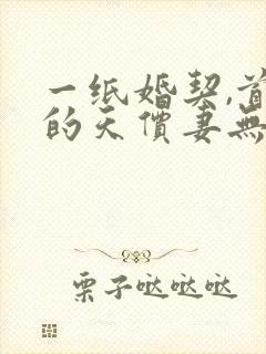 一纸婚契,首席的天价妻无删减全文