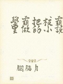 学霸把校霸往死里做的小说