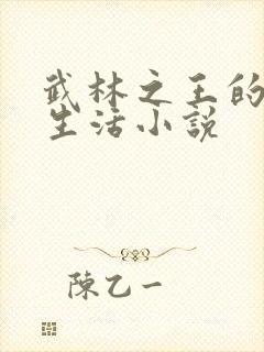 武林之王的退隐生活小说