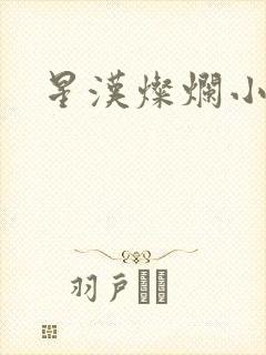 星汉灿烂小说