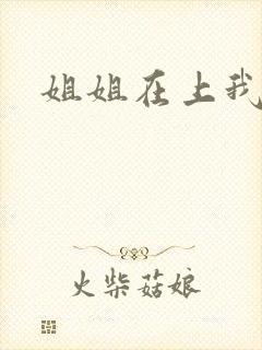 姐姐在上我在下封面