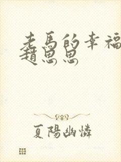 老马的幸福生活赵思思