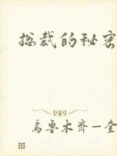 总裁的秘密情人