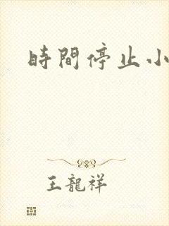 时间停止小说