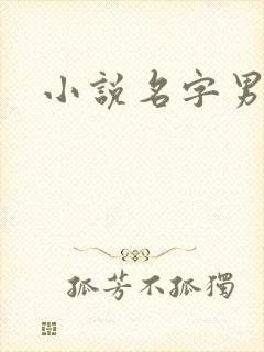 小说名字男生