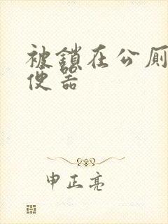 被锁在公厕当坐便器