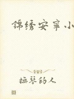 锦绣安宁小说