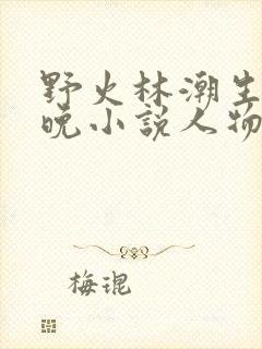 野火林潮生林晚晚小说人物野火封面