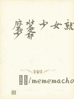 魔装少女就是本少爷