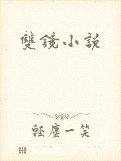 双镜小说