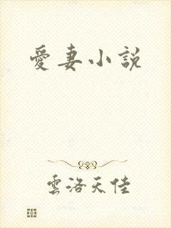 爱妻小说