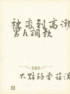 被脔到高潮的直男h调教封面